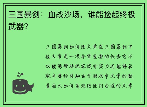三国暴剑：血战沙场，谁能捡起终极武器？